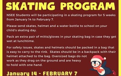 Skating Program